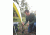 Coleman Rugged Axe W/ Nail Puller, High-Carbon Steel Head, Full Tang Steel Shaft, Black / Red Handle 2000025197