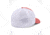 Columbia Mesh Tree Flag Ball Cap