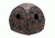 Copper Ridge Outdoors Spring Steel Pop-Up Blind, Camo HP4007CR
