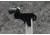 CTS Targets T-Post Pro Target Hanger, Black, 5in  L x 1.5in  W x 4in  H, NSN N CTS-TPP-036