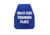 Custom Armor Group Non Ballistic Blue Marked SAPI Training Plate, Swimmers Cut, 10in x 12in, GTP-SC-ASC-1012-NY