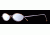 Dakota Smith Navajo SEDS NAVA00 Bifocal Prescription Eyeglasses