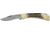 Damascus Star Lockback Folder Knife DM1023
