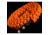 Dark Energy Lightning to C Paracord Cable, Orange, IND-LCC03HIVIS