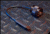 Dark Ops x8 Flag Switch Tailcap DOH252
