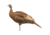 Dave Smith Decoys Upright Hen, Black 87102
