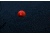Deeper Night Fishing Cover, DEE-50299