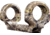 DNZ Products Game Reaper Scope Mount - Browning A Bolt Short Action, Low Ring, 1 in Tube, Camo, 14500c