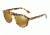 Dolce&amp;Gabbana DG4306F Bifocal Prescription Sunglasses DG4306F-512-W4-50 - Lens Diameter 50 mm, Frame Color Light Havana