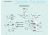 Nikon Eclipse 100 Microscope System Diagram