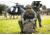 Eberlestock Halftrack Pack, Black, F3MB