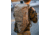 Eberlestock Little Trick Pack, Dry Earth, S27ME