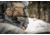 Eberlestock Recon Molle Panel, Dry Earth, ZA6ME