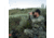 Eberlestock Recon Utility Pouch, Multicam, ZA3MM