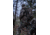 Eberlestock X1 Pack, Coyote Brown Microsuede, X1A3HC