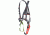 Edelweiss Explorer - Full Body Harness 1 HEXP.1