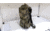 EDEMO Eberlestock Sawed-Off II Pack, Dry Earth, H31ME, EDEMO1