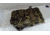 EDEMO Eberlestock Sawed-Off II Pack, Dry Earth, H31ME, EDEMO1