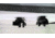 EDEMO Midwest Industries Ak Handguard W/rails Fits Yugo M92 Krinkov/m92 Pap, EDEMO2