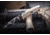 Extrema Ratio Fulcrum C FH Fixed Blade Knife, EX0110DW