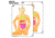 EZ-Aim Fun Imposing Figures Paper Shooting Target Assortment, 12inW x 18inH, 8-Pack, Multi, 15645