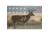EZ-Aim Paper Four Color Whitetail Target, 25X35, 15286