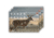 EZ-Aim Splash Non-Adhesive Whitetail Target, Green, 13X24, 15268