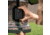 FeatherSnap Scout Version 1 Bird Feeder, Clear/Green, Small, FSBF001