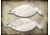 Final Approach Last Pass 12 Pack Snow Goose, Shells Feeder, Box