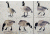Final Approach FA Last Pass HD Field Honkers - 6 Pack 474170