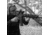 Firefield Rival-XL M-LOK Foregrip, Black, FF35006