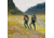 Fjallraven Keb Agile Trousers - Mens, Laurel Green-Deep Forest, 46, Regular, F86411-625-662-46/R