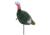 Flambeau Feather Flex Flocked Jake Turkey Decoy 012663