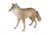 Flambeau Masters Series Flocked Lone Howler - Coyote Decoy 5001159