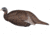 Flextone Thunder Chick Breeder Decoys, FLX-FLXDY331