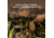 FoxPro XWAVE Game Call Scout Pack, Tan, FXPSCOUTPK