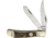 Frost Miller Brothers Bullet Trapper Folding Knife,Clip and Spey,Deer Stag Handle FMBS024DS