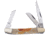 Frost Range Rider Folding Knife, 3.25in Closed, Mirror Stainless Clip/Sheepsfoot/Coping Blades, Second Cut Bone Handle, VF-910SC