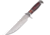 Frost Sharps Pakkawood Dagger Fixed Blade Knife, 6.5in, 3Cr13 Stainless Steel, Standard Edge, Satin, Resin and Pakkawood Handle FSHP2001