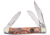 Frost Stockman California Gold Crowing Rooster Folding Knife, Mirror SS Clip/Sheepsfoot/Spey Blades, Gold Resin Handle, Nickel Silver Bolster, Inlay Shield, Gold, CR-504CG