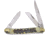 Frost Stockman Stag Bone Resin Folding Knife, Mirror SS Clip/Sheepsfoot/Spey Blades, Stag Bone Resin Handle, OC-509SBR