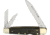 Frost SW Lockback Whittler Buffalo Folding Knife,Stainless Steel,Standard Edge,Clip,Pen and Wharncliffe,Mirror Polish,Cape Buffalo Horn Handle, SW-116CBH
