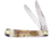 Frost Trapper Deer Stag Folding Knife, Mirror SS Clip/ Spey Blades, Stag Bone Handle, SW-108DS