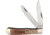 Frost Trapper Folding Knife, Brown smooth bone handle, BKH-108BRSB