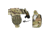 G-Code GCA200 STATIC GRIP RTI Optimal Drop Plastic Buckle Pistol Platform, Grey, GCA200-PB-GY