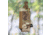 G-Code SYNC PM Single Pistol Magazine Carrier w/ P1/P3 Molle and Belt Mounts, Grey, SYN-PM-13-GY