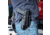 Galco Halo Belt Holster, Kimber 5in 1911 W/Wo Red Dot W/Wml, Smith &amp; Wesson Sw1911 5in W/Wo Red Dot W/Wml, Left Hand, Black, HLO213RB