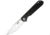 Ganzo Knives Firebird Linerlock CF Folding Knife, 3.5 satin finish D2 tool steel spear point blade, Carbon fiber handle, FH41-CF