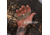 Gerber Mansfield,mcrta,nat,e - 31-004120