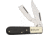 German Bull Barlow Razor Buffalo Horn Folding Knife,Stainless Steel,Clip and Razor,Buffalo Horn Handle GB113BH